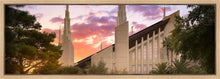 Load image into Gallery viewer, Las Vegas Desert Rose
