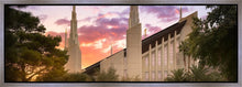 Load image into Gallery viewer, Las Vegas Desert Rose
