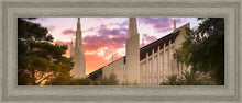 Load image into Gallery viewer, Las Vegas Desert Rose
