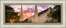 Load image into Gallery viewer, Las Vegas Desert Rose
