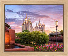 Load image into Gallery viewer, Salt Lake City This is the Place
