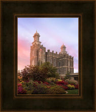 Load image into Gallery viewer, Logan Dawning of a New Day
