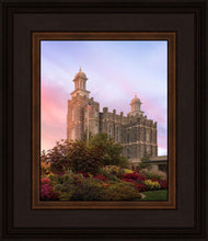 Load image into Gallery viewer, Logan Dawning of a New Day
