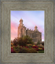 Load image into Gallery viewer, Logan Dawning of a New Day
