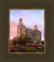 Load image into Gallery viewer, Logan Dawning of a New Day
