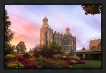 Load image into Gallery viewer, Logan Dawning of a New Day
