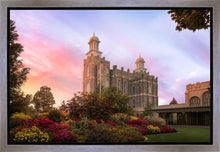 Load image into Gallery viewer, Logan Dawning of a New Day
