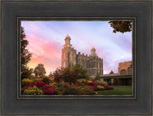 Load image into Gallery viewer, Logan Dawning of a New Day
