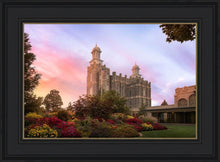 Load image into Gallery viewer, Logan Dawning of a New Day
