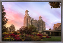 Load image into Gallery viewer, Logan Dawning of a New Day
