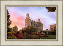 Load image into Gallery viewer, Logan Dawning of a New Day
