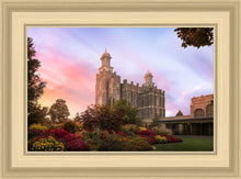 Load image into Gallery viewer, Logan Dawning of a New Day
