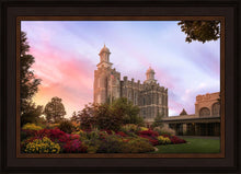 Load image into Gallery viewer, Logan Dawning of a New Day
