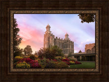Load image into Gallery viewer, Logan Dawning of a New Day

