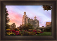 Load image into Gallery viewer, Logan Dawning of a New Day
