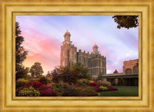 Load image into Gallery viewer, Logan Dawning of a New Day
