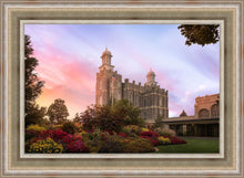 Load image into Gallery viewer, Logan Dawning of a New Day
