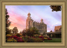 Load image into Gallery viewer, Logan Dawning of a New Day
