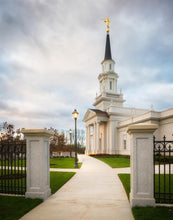 Load image into Gallery viewer, Hartford Pathway
