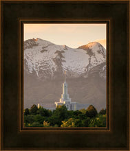 Load image into Gallery viewer, Mt. Timpanogos You’re not Alone
