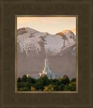 Load image into Gallery viewer, Mt. Timpanogos You’re not Alone
