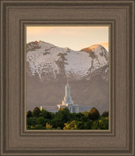 Load image into Gallery viewer, Mt. Timpanogos You’re not Alone
