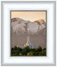 Load image into Gallery viewer, Mt. Timpanogos You’re not Alone
