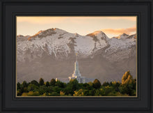 Load image into Gallery viewer, Mt. Timpanogos You’re not Alone
