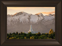 Load image into Gallery viewer, Mt. Timpanogos You’re not Alone
