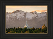 Load image into Gallery viewer, Mt. Timpanogos You’re not Alone
