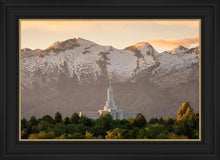 Load image into Gallery viewer, Mt. Timpanogos You’re not Alone
