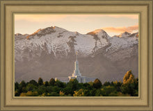 Load image into Gallery viewer, Mt. Timpanogos You’re not Alone
