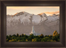 Load image into Gallery viewer, Mt. Timpanogos You’re not Alone
