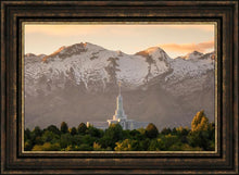 Load image into Gallery viewer, Mt. Timpanogos You’re not Alone
