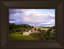 Load image into Gallery viewer, Atlanta From On High
