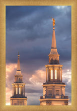 Load image into Gallery viewer, Philadelphia Inspire
