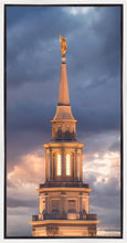 Load image into Gallery viewer, Philadelphia Inspire
