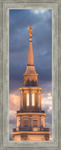 Load image into Gallery viewer, Philadelphia Inspire
