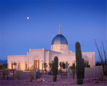 Load image into Gallery viewer, Tucson Cactus Morning
