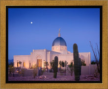 Load image into Gallery viewer, Tucson Cactus Morning
