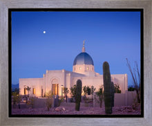 Load image into Gallery viewer, Tucson Cactus Morning
