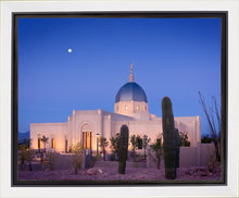 Load image into Gallery viewer, Tucson Cactus Morning
