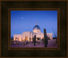 Load image into Gallery viewer, Tucson Cactus Morning
