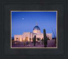 Load image into Gallery viewer, Tucson Cactus Morning
