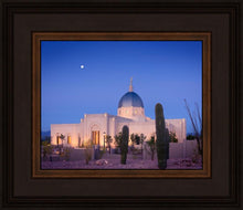Load image into Gallery viewer, Tucson Cactus Morning
