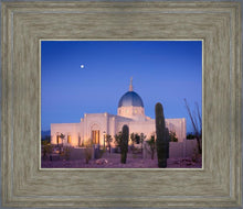 Load image into Gallery viewer, Tucson Cactus Morning
