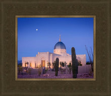 Load image into Gallery viewer, Tucson Cactus Morning
