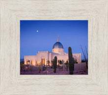 Load image into Gallery viewer, Tucson Cactus Morning
