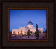 Load image into Gallery viewer, Tucson Cactus Morning
