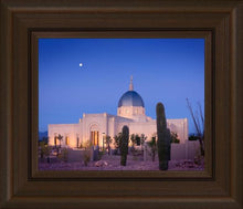 Load image into Gallery viewer, Tucson Cactus Morning
